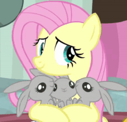 Size: 377x360 | Tagged: safe, screencap, fluttershy, pegasus, pony, rabbit, g4, interseason shorts, teacher of the month (episode), ^u^, animal, animated, cropped, cute, daaaaaaaaaaaw, female, hasbro is trying to murder us, hnnng, hug, nuzzling, pure, shyabetes, sweet dreams fuel, teacher of the month, weapons-grade cute, wholesome
