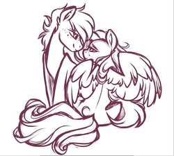 Size: 653x587 | Tagged: safe, artist:crimmharmony, oc, oc only, oc:crimm harmony, oc:stitched laces, earth pony, pegasus, pony, couple, duo, female, looking at each other, male, mare, monochrome, oc x oc, shipping, simple background, sitting, sketch, spread wings, stallion, stimony, straight, white background, wings