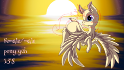 Size: 2560x1439 | Tagged: safe, artist:lostmystery, oc, oc only, pony, commission, outdoors, solo, sunset, water, wings, your character here