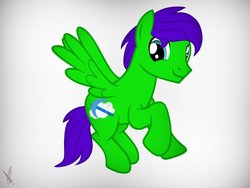 Size: 1024x768 | Tagged: safe, artist:reziepony, oc, oc only, oc:raulix evergreen, pegasus, pony, cute, flying, happy, male, shading, smiling, solo, stallion, vector