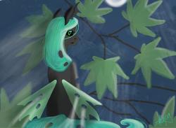 Size: 900x660 | Tagged: safe, artist:kira-minami, queen chrysalis, changeling, changeling queen, g4, female, looking at you, looking back, looking back at you, moon, night, sad, signature, sitting, solo