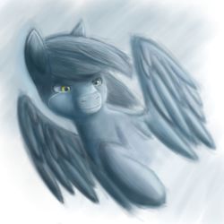 Size: 900x900 | Tagged: safe, artist:kira-minami, oc, oc only, pegasus, pony, crying, male, solo, spread wings, stallion, wings