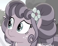 Size: 477x374 | Tagged: safe, screencap, petunia petals, earth pony, pony, g4, my little pony: rainbow roadtrip, barrette, bust, colorless, cropped, discovery family logo, female, freckles, frown, mare, raised eyebrow, solo