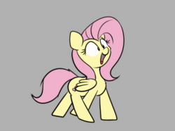 Size: 560x420 | Tagged: safe, artist:taurson, fluttershy, pegasus, pony, g4, animated, cheek fluff, chest fluff, cute, female, frame by frame, gray background, mare, open mouth, shyabetes, silly, silly pony, simple background, smiling, solo