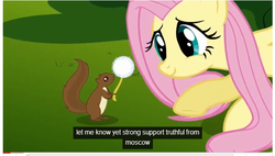 Size: 653x370 | Tagged: safe, edit, edited screencap, screencap, fluttershy, pony, squirrel, g4, swarm of the century, caption, dandelion, meme, moscow, russia, youtube caption