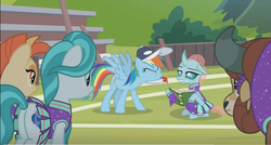 Size: 841x452 | Tagged: safe, screencap, lighthoof, ocellus, rainbow dash, shimmy shake, yona, changedling, changeling, pegasus, pony, yak, 2 4 6 greaaat, g4, alternate scene interpretation, anti-reading, blowing, blowing whistle, cheerleader, cheerleader ocellus, cheerleader outfit, cheerleader yona, cheerleading, coach, coach rainbow dash, cute, puffy cheeks, rainbow douche, spread wings, that pony sure does love whistles, this will end in deafness, whistle, wings
