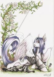 Size: 679x960 | Tagged: safe, artist:nastylady, oc, oc only, oc:lemur, pegasus, pony, clothes, solo, traditional art