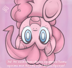 Size: 583x550 | Tagged: safe, artist:soulspade, edit, pinkie pie, earth pony, pony, g4, cyrillic, female, fourth wall, hoofbump, in which pinkie pie forgets how to gravity, pinkie being pinkie, pinkie physics, russian, solo, translation, underhoof, upside down