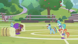Size: 640x360 | Tagged: safe, screencap, lighthoof, rainbow dash, shimmy shake, yona, pegasus, pony, yak, 2 4 6 greaaat, g4, animated, blowing, blowing whistle, cheerleader, cheerleader outfit, cheerleader yona, coach, coach rainbow dash, cute, dashabetes, female, grin, gritted teeth, hay bale, puffy cheeks, rainblow dash, rainbow dashs coaching whistle, smiling, sound, stomping, that pony sure does love whistles, webm, whistle, yonadorable