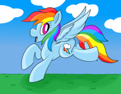 Size: 1920x1500 | Tagged: safe, artist:notadeliciouspotato, rainbow dash, pegasus, pony, g4, female, mare, smiling, solo, spread wings, wings