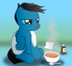 Size: 3600x3300 | Tagged: safe, artist:agkandphotomaker2000, oc, oc:pony video maker, pegasus, pony, flu, food, high res, red nosed, sick, soup, syrup, tissue