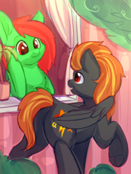 Size: 3000x4000 | Tagged: safe, artist:alphadesu, oc, oc only, oc:digidash, oc:watermelon frenzy, pegasus, pony, bush, curtains, hooves, looking at each other, male, plant, smiling, trap, tree, window, wings