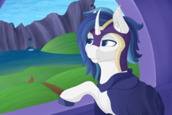 Size: 2560x1707 | Tagged: safe, artist:batsdisaster, shining armor, pony, unicorn, g4, clothes, helmet, male, solo