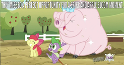Size: 640x337 | Tagged: safe, edit, edited screencap, editor:undeadponysoldier, screencap, apple bloom, little piggington, spike, dragon, earth pony, pig, pony, g4, spike at your service, 'new', adorable face, apple tree, bow, brush, caption, cute, disappointment, female, fence, filly, hub logo, image macro, male, ship:spikebloom, shipping, smiling, straight, sweet apple acres, text, tree