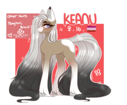Size: 1024x853 | Tagged: safe, artist:umiimou, oc, oc only, oc:keanu, earth pony, pony, appaloosa, female, gradient mane, lesbian pride flag, long feather, long mane, long tail, mare, pride, pride flag, reference sheet, simple background, solo, transparent background