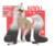 Size: 1024x853 | Tagged: safe, artist:umiimou, oc, oc only, oc:keanu, earth pony, pony, appaloosa, female, gradient mane, lesbian pride flag, long feather, long mane, long tail, mare, pride, pride flag, reference sheet, simple background, solo, transparent background