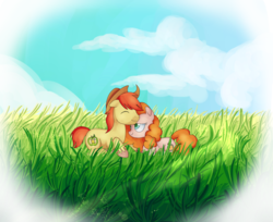 Size: 3531x2880 | Tagged: safe, artist:andromedasparkz, bright mac, pear butter, earth pony, pony, g4, cloud, eyes closed, female, grass, high res, male, mare, newbie artist training grounds, prone, shipping, sky, stallion