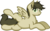 Size: 993x623 | Tagged: safe, artist:zeka10000, oc, oc only, oc:soulful radiance, pegasus, pony, ear fluff, looking at you, lying down, male, request, requested art, shading, simple background, solo, spreading, stallion, transparent background, wings