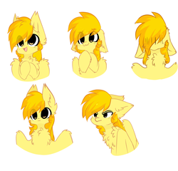 Size: 1536x1476 | Tagged: dead source, safe, artist:php146, oc, oc only, oc:firefly, pegasus, pony, chest fluff, chibi, ear fluff, floppy ears, male, simple background, solo, stallion, white background