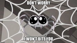 Size: 888x499 | Tagged: safe, edit, edited screencap, screencap, spider, g4, rainbow roadtrip, big eyes, caption, desaturated, discovery family logo, happy, heart, image macro, meme, spider web, text