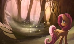 Size: 800x480 | Tagged: safe, artist:silberhoernchen, fluttershy, firefly (insect), insect, pegasus, pony, g4, deviantart watermark, female, forest, mare, nature, obtrusive watermark, scenery, solo, tree, watermark