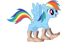 Size: 1024x684 | Tagged: safe, artist:elijahtheponyboy, rainbow dash, pony, g4, 1000 years in photoshop, fail, feet, not salmon, wat