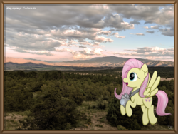 Size: 4023x3024 | Tagged: safe, artist:php124, fluttershy, pegasus, pony, g4, camera, colorado, flying, irl, lanyard, mountain, photo, ponies in real life, solo, wings