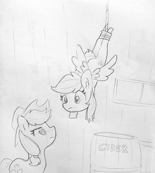 Size: 1260x1408 | Tagged: safe, artist:tjpones, applejack, rainbow dash, earth pony, pegasus, pony, g4, caught, caught red hooved, cider, cider theft, disappointed, duo, duo female, eye contact, female, hanging, looking at each other, mare, monochrome, rope, rope trap, thief, traditional art, trap (device)