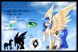 Size: 3000x2000 | Tagged: safe, artist:laaralee, oc, oc only, oc:windrunner, pegasus, pony, color palette, concave belly, cutie mark, female, height difference, high res, large wings, long tail, mare, raised hoof, reference sheet, size comparison, slender, solo, spread wings, tail, tall, thin, wings