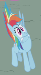 Size: 300x545 | Tagged: safe, screencap, rainbow dash, pegasus, pony, dragonshy, g4, animation error, cropped, female, flat, great moments in animation, mare, missing wing, rainbow dash is best facemaker, scared, solo