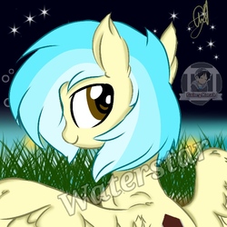 Size: 590x590 | Tagged: safe, artist:thewater3star, oc, oc only, pegasus, pony, male, night, obtrusive watermark, solo, stallion, watermark