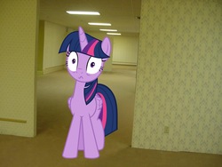 Size: 3072x2304 | Tagged: safe, twilight sparkle, alicorn, pony, g4, :s, high res, irl, meme, photo, ponies in real life, shrunken pupils, the backrooms, thousand yard stare, twilight sparkle (alicorn), wavy mouth, what has been seen, wide eyes