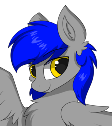 Size: 800x900 | Tagged: safe, artist:llhopell, oc, oc only, oc:hope(llhopell), pegasus, pony, chest fluff, eyebrows, eyebrows visible through hair, simple background, solo