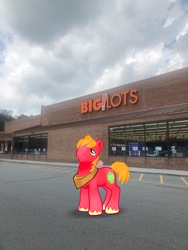 Size: 3024x4032 | Tagged: safe, gameloft, photographer:undeadponysoldier, big macintosh, earth pony, pony, g4, augmented reality, big lots, building, grocery store, irl, male, photo, ponies in real life, solo, stallion, window