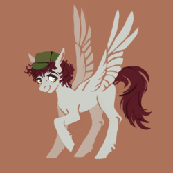 Size: 800x800 | Tagged: safe, artist:weird--fish, oc, oc only, pegasus, pony, cap, hat, simple background, solo