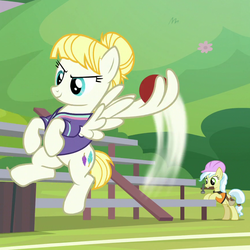 Size: 875x875 | Tagged: safe, screencap, ambrosia, cindy block, summer breeze, pony, 2 4 6 greaaat, g4, bleachers, buckball, buckball uniform, clothes, construction pony, cropped, flying, hammer, hard hat, jersey, mouth hold, shirt, throwing, wing hands, wings