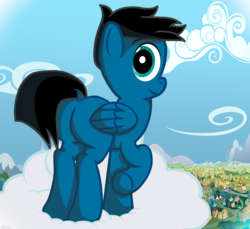 Size: 3600x3300 | Tagged: safe, artist:agkandphotomaker2000, oc, oc:pony video maker, pegasus, pony, butt, cloud, high res, looking at you, low angle, plot, ponyville, standing on a cloud