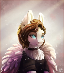Size: 1400x1600 | Tagged: safe, artist:alina-sherl, oc, oc only, pegasus, pony, chest fluff, clothes, solo