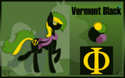 Size: 2178x1351 | Tagged: safe, artist:nda art, oc, oc only, oc:vermont black, earth pony, pony, clothes, cutie mark, male, name, phi, raised hoof, reference sheet, scarf, silhouette, size comparison, solo, stallion