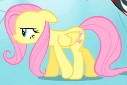 Size: 418x280 | Tagged: safe, screencap, discord, fluttershy, draconequus, pegasus, pony, g4, keep calm and flutter on, animated, gif, slipping, walking