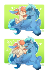 Size: 2051x3000 | Tagged: safe, artist:kez, oc, oc:peppercorn, oc:umami stale, pegasus, pony, boop, cloven hooves, ear fluff, fangs, feather in hair, high res, noseboop, size difference, surprised, teeth