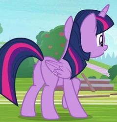 Size: 827x865 | Tagged: safe, screencap, twilight sparkle, alicorn, pony, 2 4 6 greaaat, g4, butt, cropped, female, plot, solo, twilight sparkle (alicorn)
