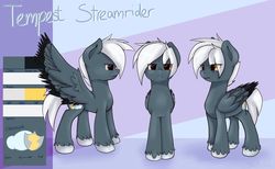Size: 1280x788 | Tagged: safe, artist:sadonax, oc, oc only, oc:tempest streamrider, pegasus, pony, frown, male, reference sheet, solo, spread wings, stallion, wings