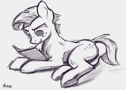 Size: 1754x1247 | Tagged: safe, artist:kam, star tracker, earth pony, pony, g4, black and white, book, grayscale, monochrome, solo
