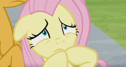 Size: 1366x728 | Tagged: safe, screencap, fluttershy, snails, pony, 2 4 6 greaaat, g4, nervous, worried