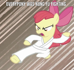 Size: 641x605 | Tagged: safe, edit, edited screencap, editor:undeadponysoldier, screencap, apple bloom, call of the cutie, g4, caption, carl douglas, clothes, everypony, gi, image macro, kicking, kung fu, kung fu fighting, parody, song reference, text, white belt