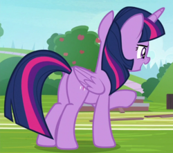 Size: 623x550 | Tagged: safe, screencap, twilight sparkle, alicorn, pony, 2 4 6 greaaat, g4, butt, cropped, female, plot, solo, twilight sparkle (alicorn)