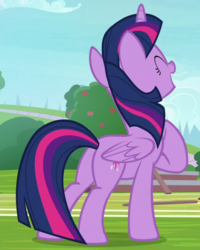 Size: 524x656 | Tagged: safe, screencap, twilight sparkle, alicorn, pony, 2 4 6 greaaat, g4, butt, cropped, female, plot, solo, twilight sparkle (alicorn)