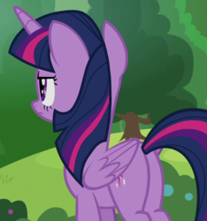 Size: 619x661 | Tagged: safe, screencap, twilight sparkle, alicorn, pony, 2 4 6 greaaat, g4, butt, cropped, female, plot, solo, twibutt, twilight sparkle (alicorn)