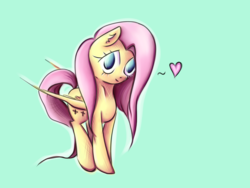 Size: 4000x3000 | Tagged: safe, artist:coco-drillo, fluttershy, pegasus, pony, g4, colorful, cute, diabetes, female, heart, shyabetes, simple background, solo, waifu